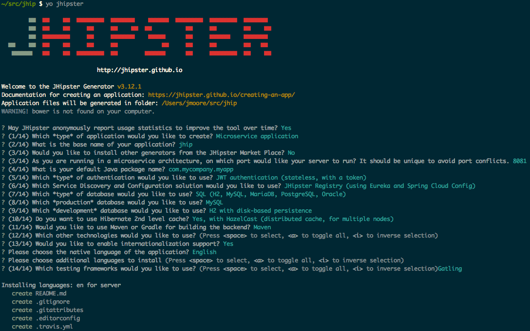 jhipster generator